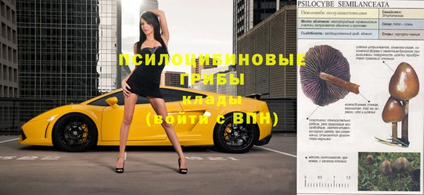 скорость Алексин