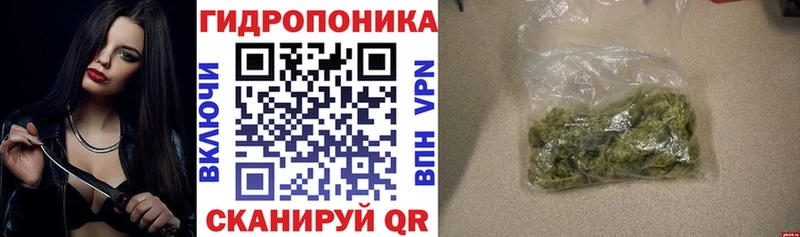 mega ТОР  Миасс  Конопля индика 